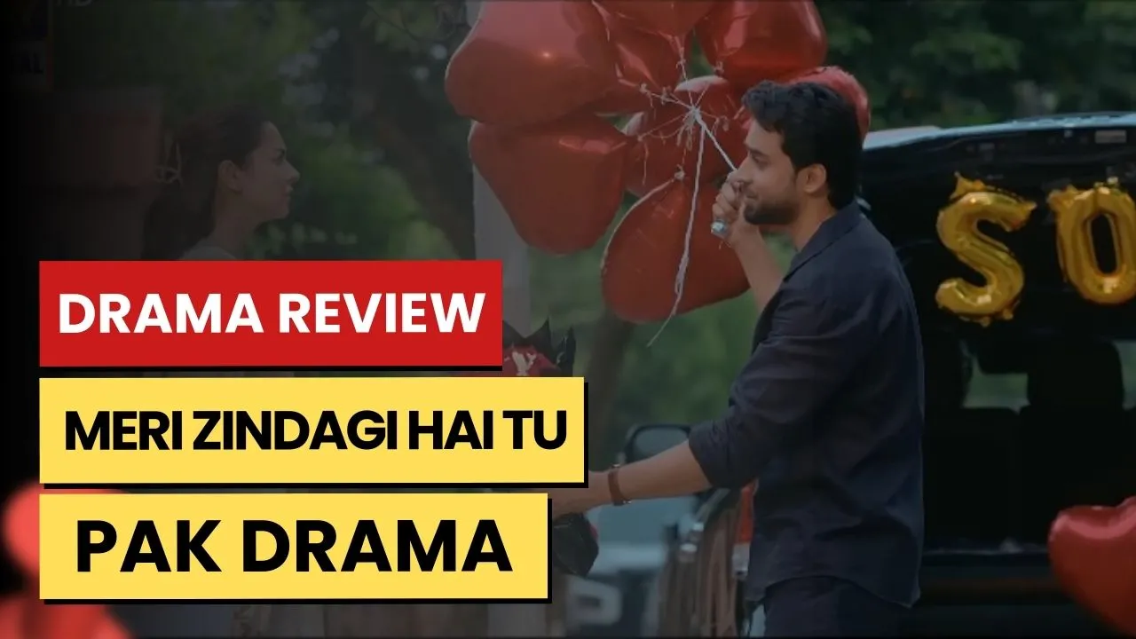 Drama Review: Meri Zindagi Hai Tu